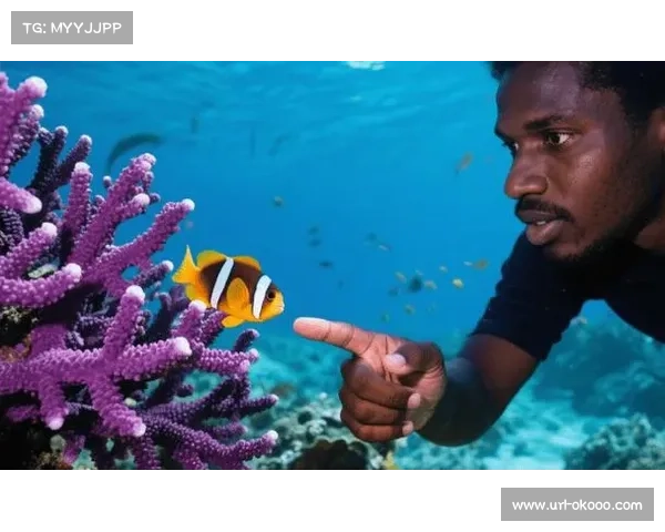 珊瑚保护组织抗议大堡礁跳水赛事 呼吁停止破坏海洋生态环境