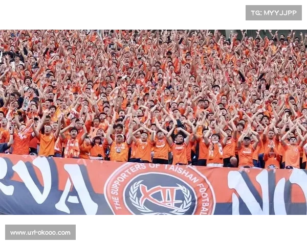 中超上座率持续攀升 多场比赛观众满座